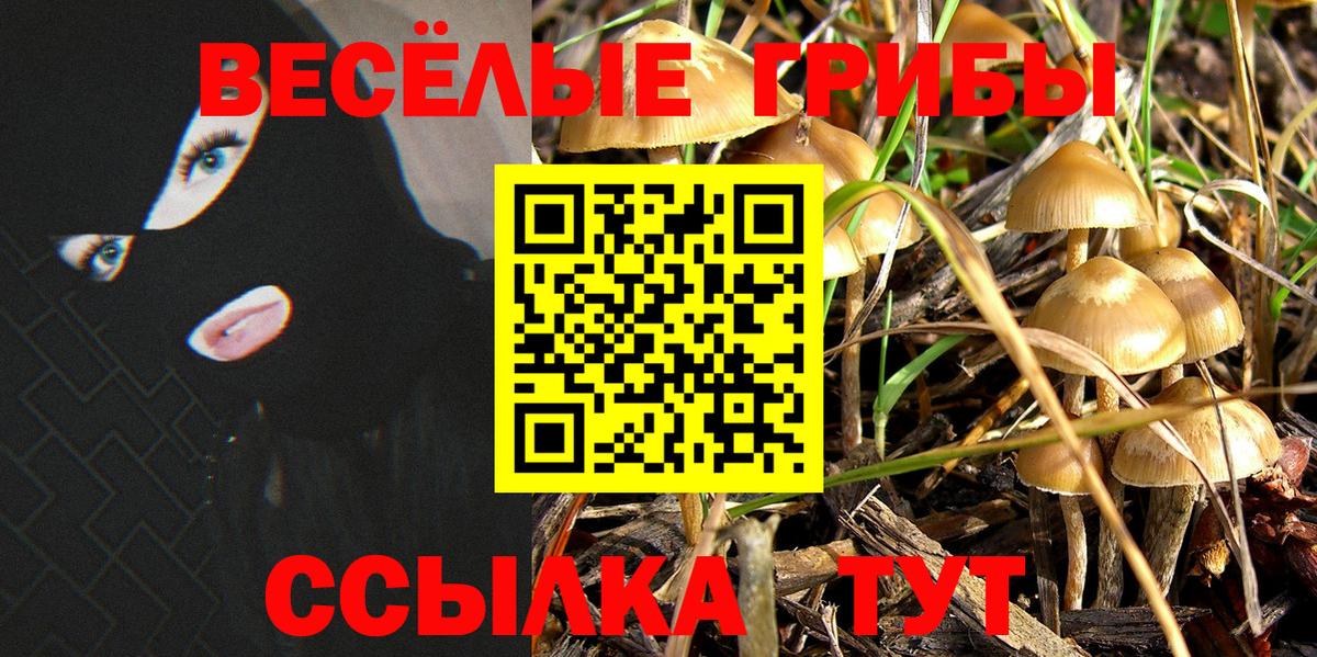 Лабинск  Галлюциногенные грибы прущие грибы  Вход с VPN  Галлюциногенные грибы мухоморы 