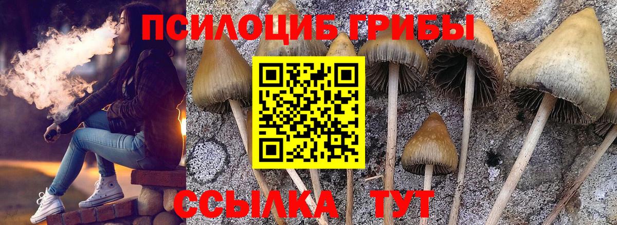 Галлюциногенные грибы мицелий Лабинск